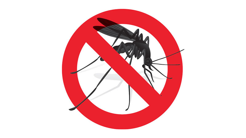 Disinfestazione zanzare