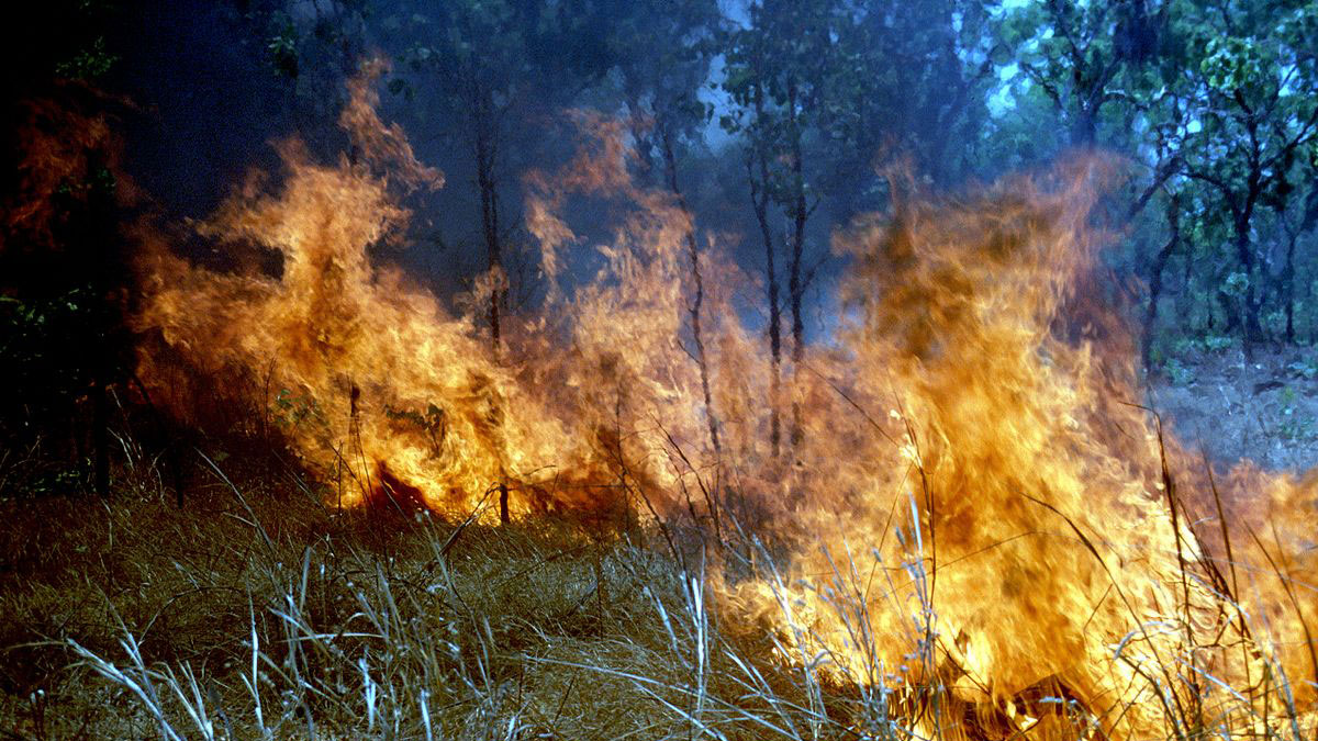Prevenzione incendi