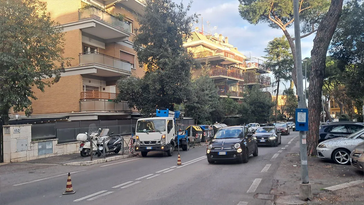 Lavori Potatura essenze Arboree Viale cortina d'Ampezzo Roma